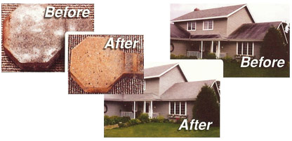 Deck Cleaning, Sidewalk cleaning - Block cleaning